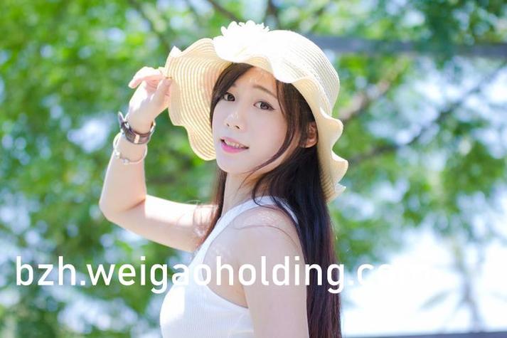 亚洲一区二区va在线观看的相关介绍