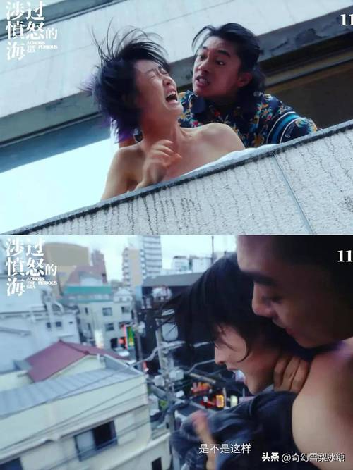 久久久久久国内精品的相关介绍