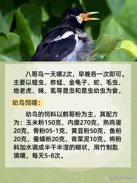 人妻少妇精品中文字幕av蜜桃的相关介绍