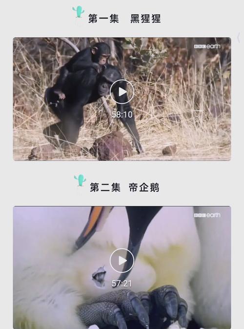 家乡影院的相关介绍