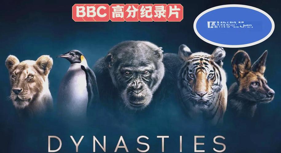 少妇av一级片的相关介绍