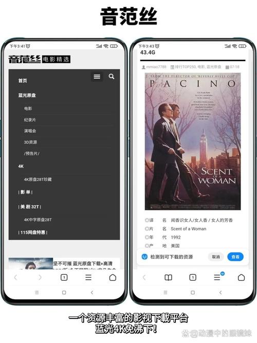 男女动漫的相关介绍