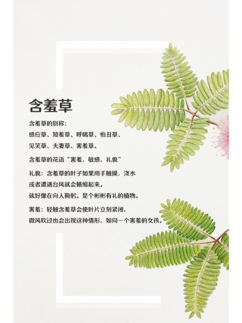 色一炮国产精品的相关介绍