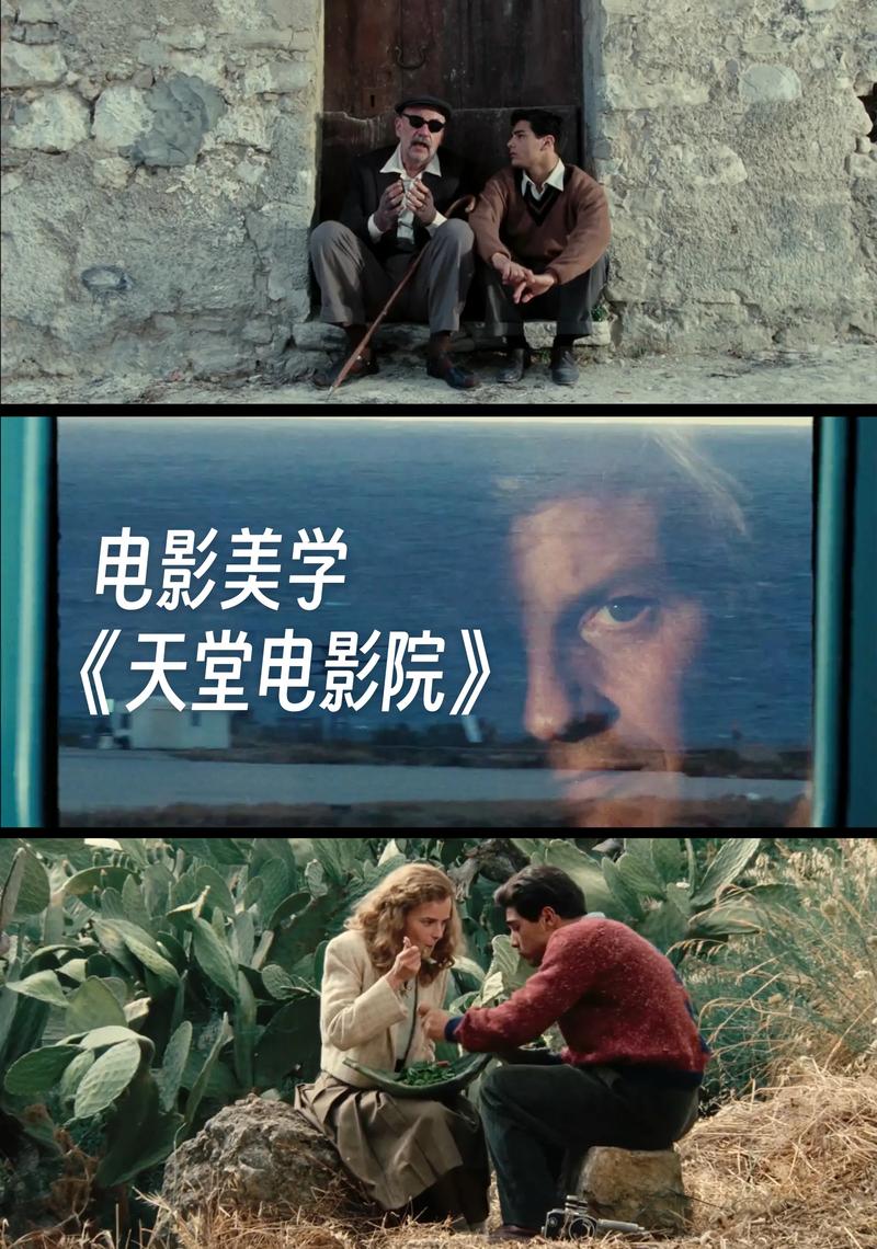 天涯影院的相关介绍