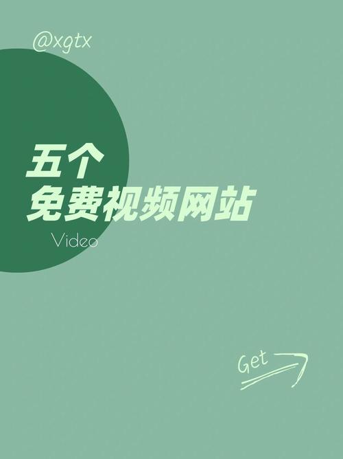成人久久激情网的相关介绍