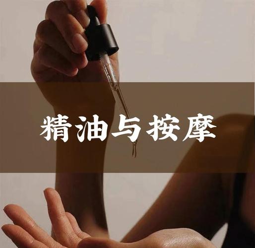 嗯嗯嗯不要调教的相关介绍