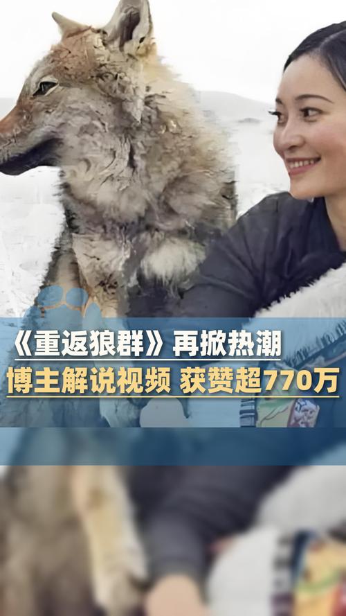 色悠悠 久久的相关介绍