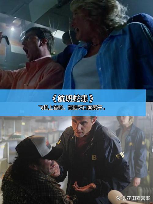 播放幼女毛片的相关介绍