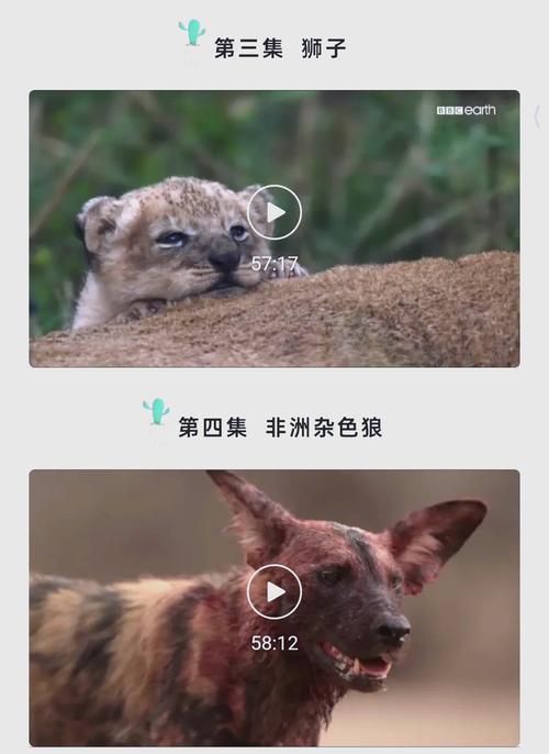 欧美老熟妇熟女的相关介绍