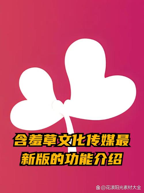 女性排黄色分泌物的相关介绍