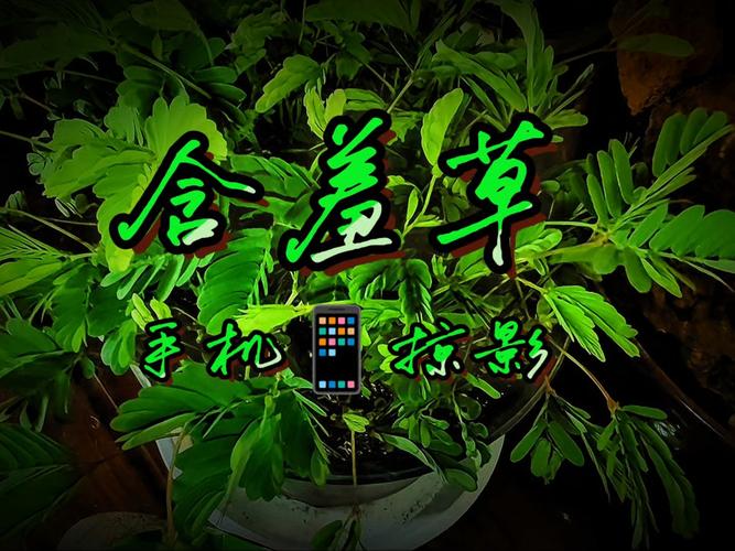 色和尚影院的相关介绍