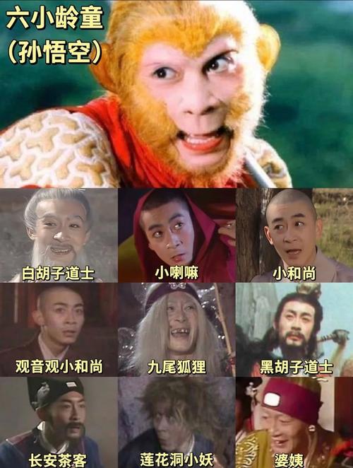 性感少妇白浆的相关介绍