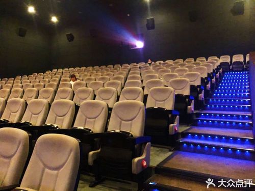 双视影院在线观看的相关介绍