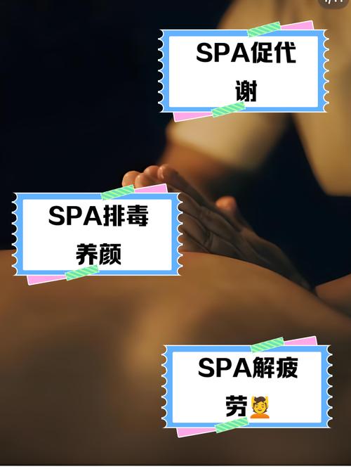 成功精品影院的相关介绍