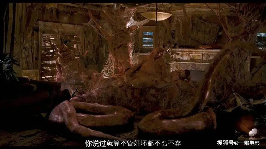 国内精品少妇av的相关介绍