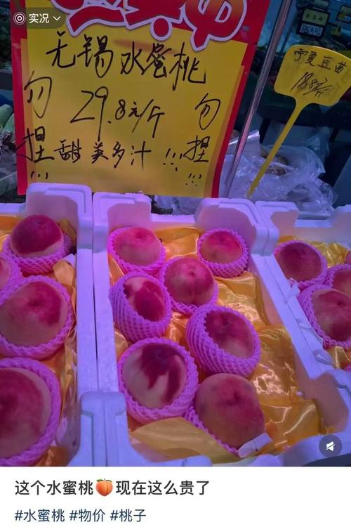 被迫高h辣文的相关介绍