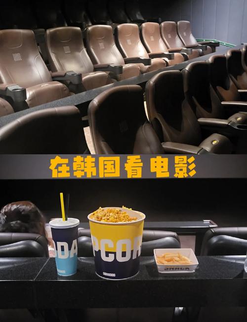国产精品sm的相关介绍