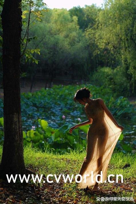 熟女少妇人妻在线观看的相关介绍