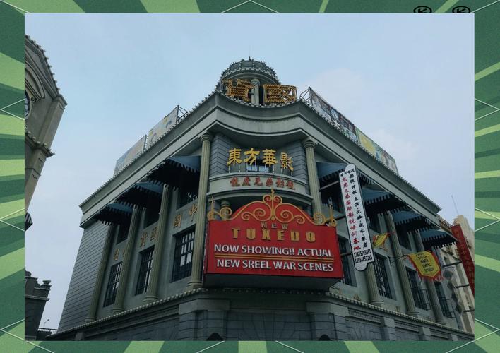 操的白浆的相关介绍