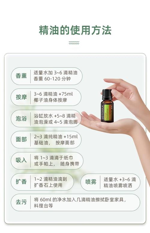 1024毛片基地你懂的的相关介绍