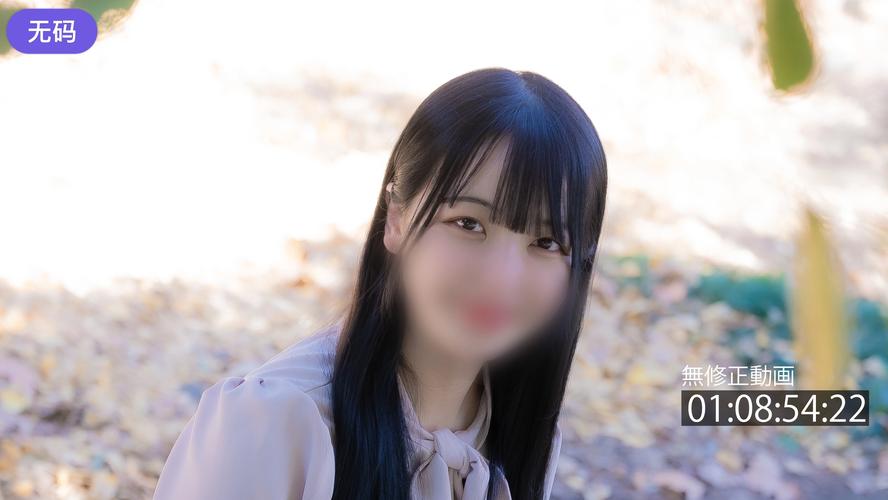 秘密影院的相关介绍