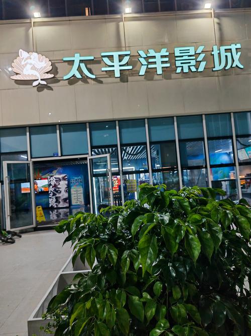 高清视频下载app的相关介绍