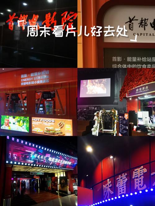 久久久久久激情的相关介绍