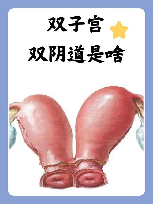 操白黑丝美女的相关介绍