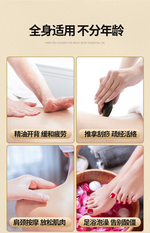 国产欧美一区二区不卡的相关介绍