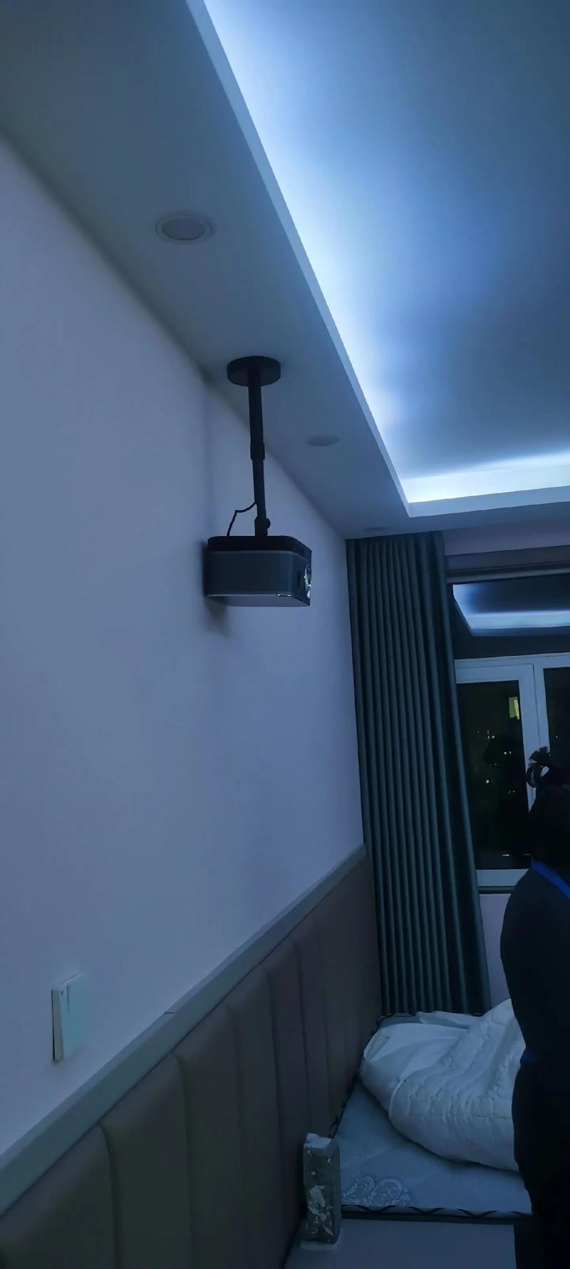 狗狗后腿毛掉秃一片的相关介绍