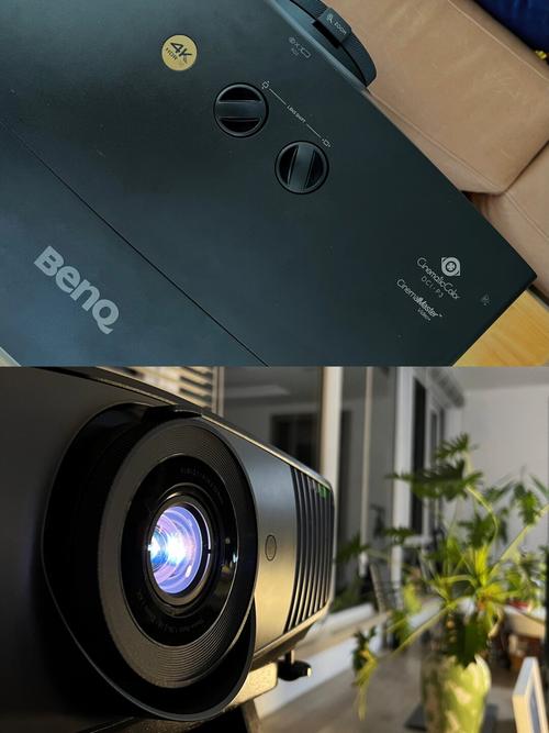 淘剧影院手机版的相关介绍