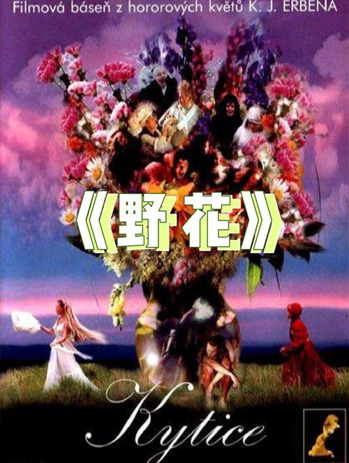 爆操欧美美女出白浆的相关介绍