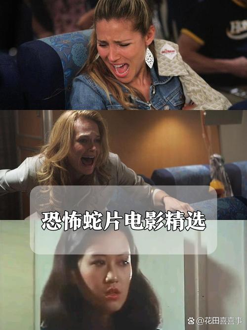 天黑黑影院的相关介绍