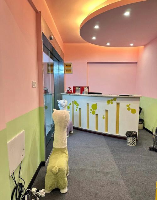 99国产精品国产精品毛片19的相关介绍