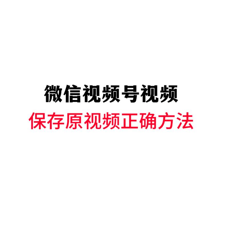 给我找个毛片看看的相关介绍