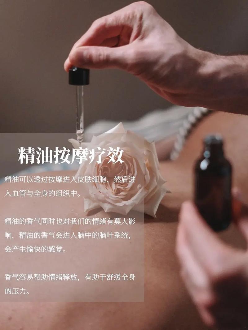 神马影院888不卡院中文的相关介绍