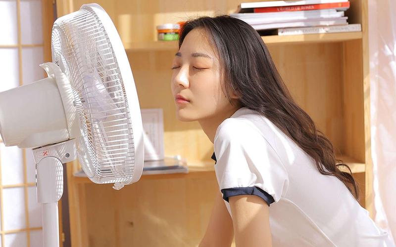 欧美激情在线影院的相关介绍