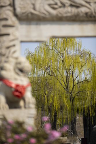 苏州科文中心电影院的相关介绍