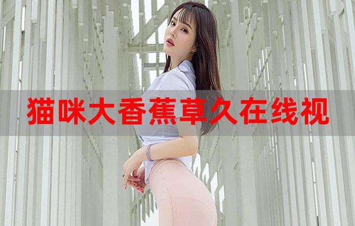 深夜影院的相关介绍