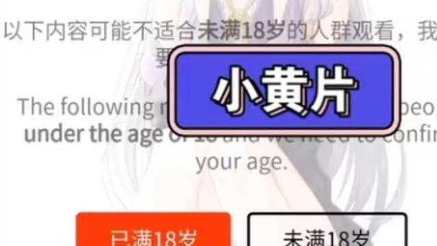成人电影院的相关介绍