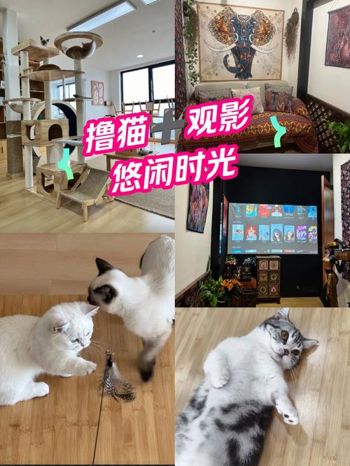 久久人妻少妇嫩草av蜜桃的相关介绍