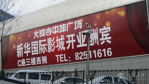 闪闪电影院的相关介绍