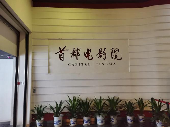 山水家庭影院的相关介绍