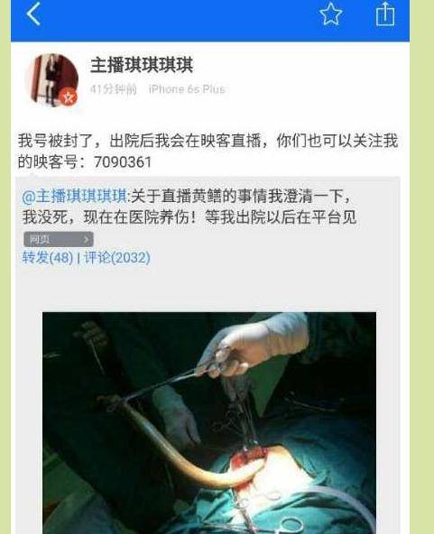 老少妇av的相关介绍