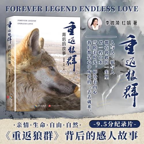 日比视频app下载的相关介绍