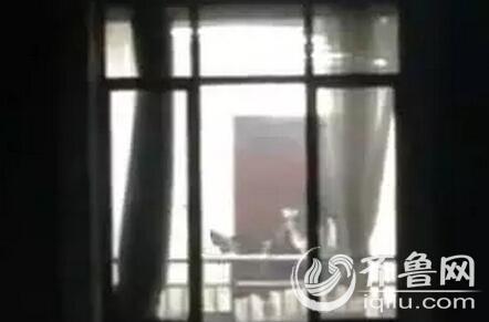 李小冉大尺度写真的相关介绍