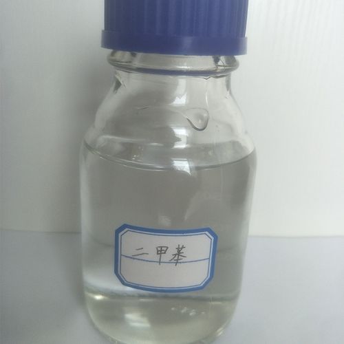 淫啪啪啪的相关介绍
