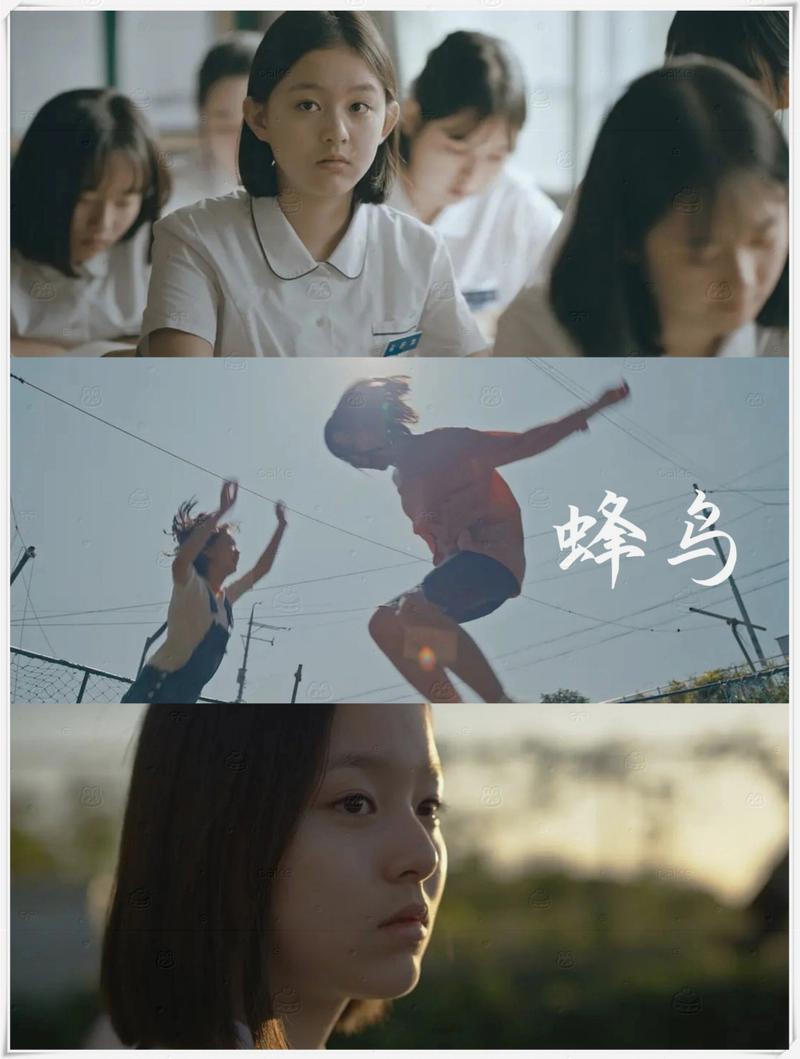 黑操白女的相关介绍