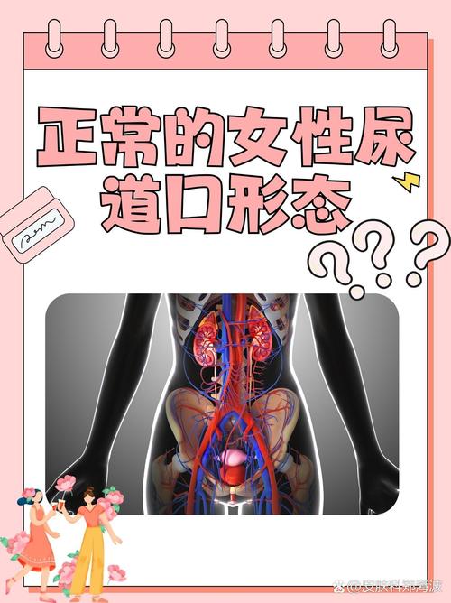 激情电影久久久的相关介绍